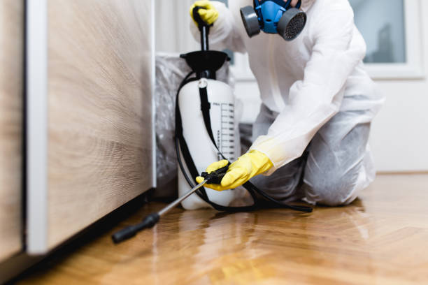 Best Residential Pest Control  in Madison, NJ