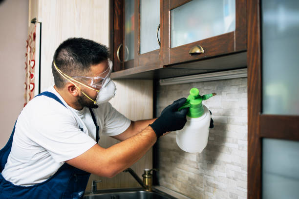 Best Mosquito Control Services  in Madison, NJ