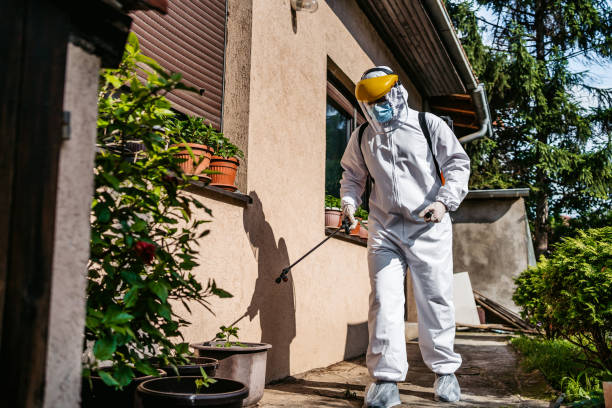 Best Pest Control Near Me  in Madison, NJ