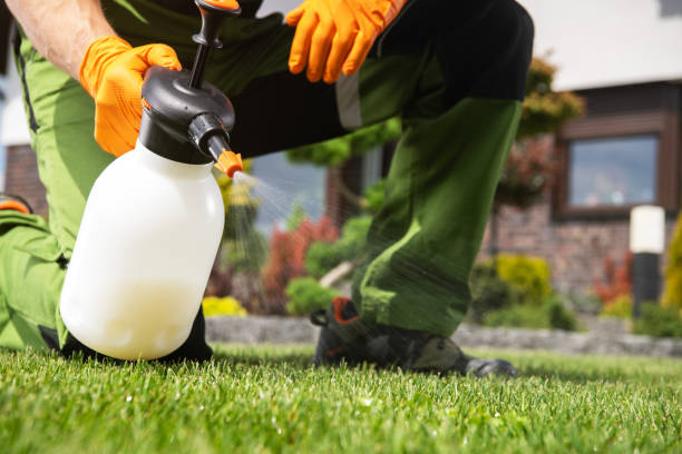 Best Pest Control for Restaurants  in Madison, NJ