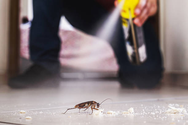 Pest Control for Restaurants in Madison, NJ