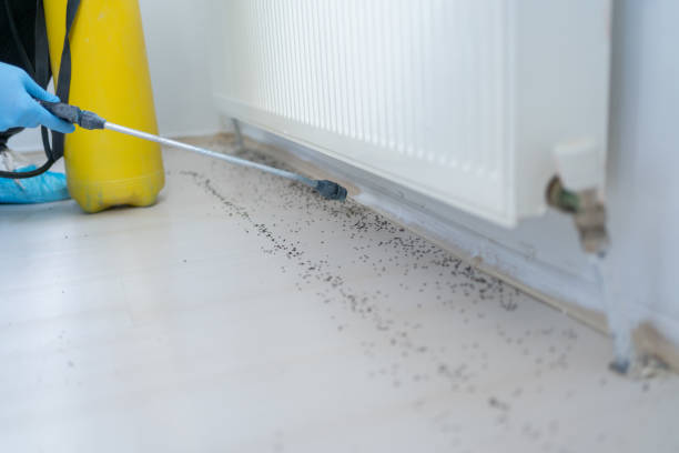 Best Commercial Pest Control Services  in Madison, NJ